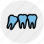dental, dentist, stomatology, teeth, tooth 
