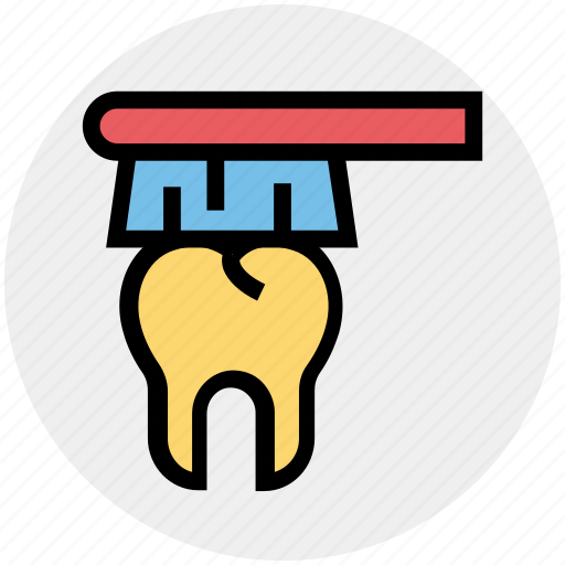 Brush, cleaning, dental, dentist, teeth, tooth, toothbrush icon - Download on Iconfinder
