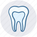 dental, dental treatment, dentist, oral health, stomatology, tooth