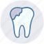 dental, dental care, dental repair, hygiene, stomatology, tooth 