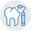 dental, dental treatment, dentist, dentistry, teeth, tooth 