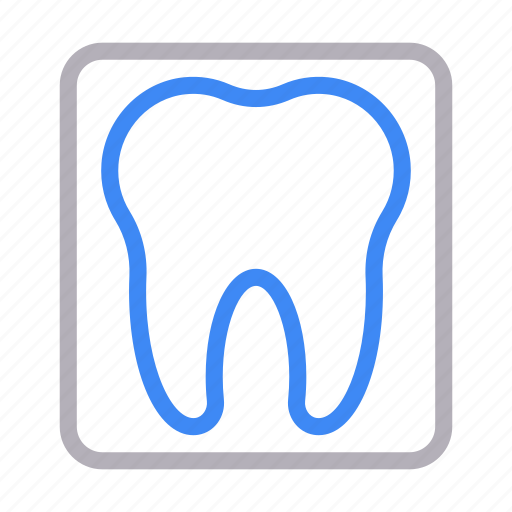 Dental, medical, oral, teeth, tooth icon - Download on Iconfinder