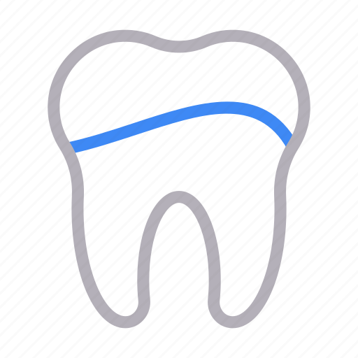 Anatomy, dental, oral, teeth, tooth icon - Download on Iconfinder