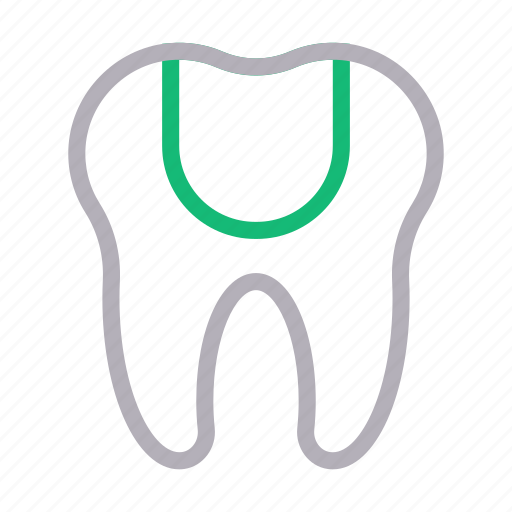 Anatomy, medical, oral, teeth, tooth icon - Download on Iconfinder
