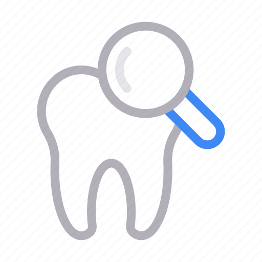 Anatomy, dental, oral, search, teeth icon - Download on Iconfinder