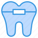 braces, dental, dentist, medical, tooth