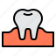 dental, dentist, medical, tooth 