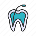 endodontics, medical, root canal, treatment, diagnose, teeth, dentistry, orthodontics