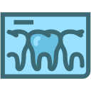 dental, dental records, dentist, dentistry, tooth, tooth x ray, x rays 