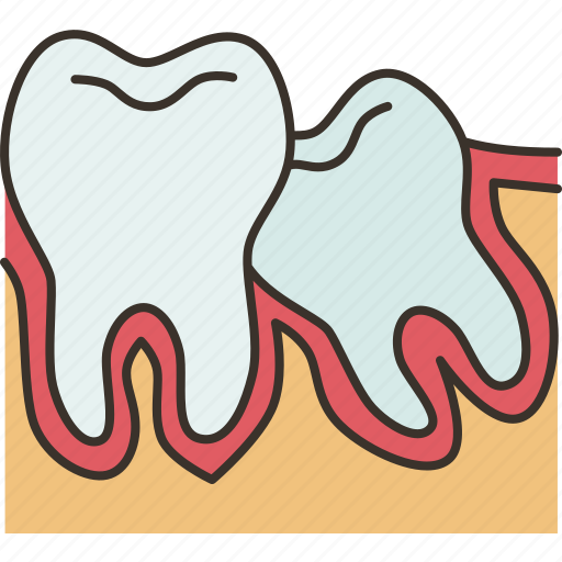 Wisdom, teeth, dental, oral, molar icon - Download on Iconfinder