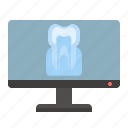 dental, radiography, tooth, xray