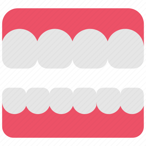 Dental, dentist, hygiene, jaw, stomatology, teeth, tooth icon - Download on Iconfinder