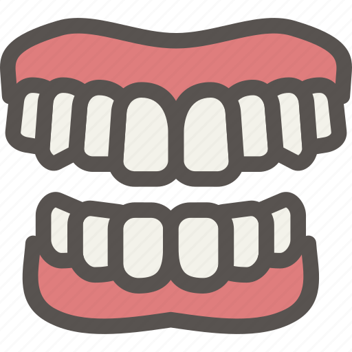 Bite, dental, dentist, gums, health, jaw, tooth icon - Download on Iconfinder