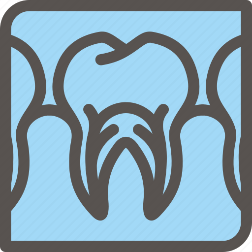 Dental, dentist, health, tooth, xray icon - Download on Iconfinder