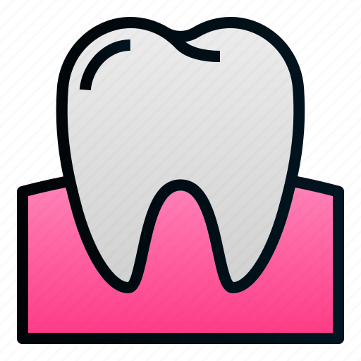 Dental, dentist, doctor, gum, health, molar, tooth icon - Download on Iconfinder