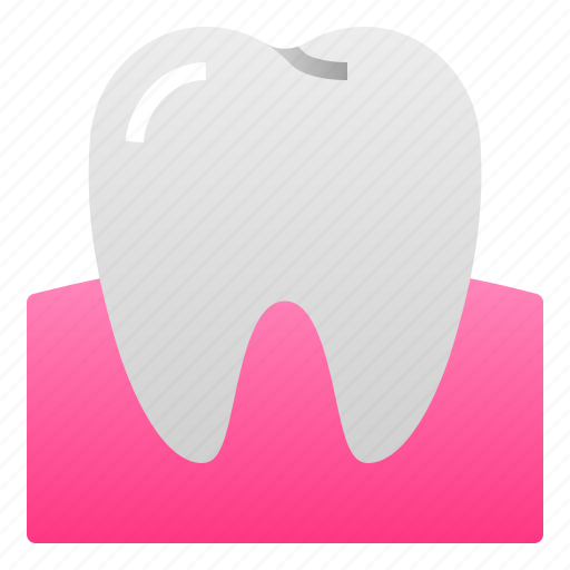 Dental, dentist, doctor, gum, health, molar, tooth icon - Download on Iconfinder