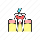 root, canal, treatment, teeth