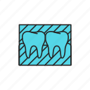 tooth, snapshot, x, ray