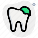 decay, dental, treatment, recovery