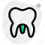molar, medical, treatment, health 