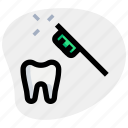 tooth, brush, medical, health