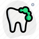 tooth, brush, medical, healthcare