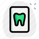 tooth, file, medical, document