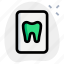 tooth, file, medical, document 