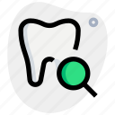 tooth, search, magnifier, find