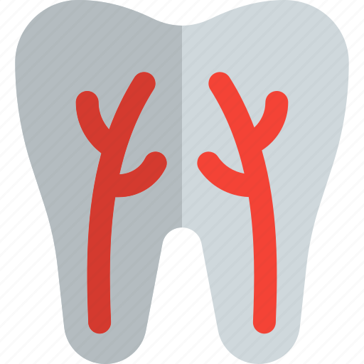Root, canal, medical, healthcare icon - Download on Iconfinder