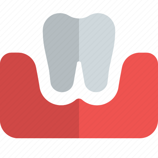 Tooth, gum, medical, healthcare icon - Download on Iconfinder