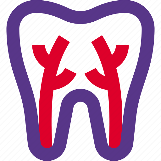 Root, canal, medical, health icon - Download on Iconfinder