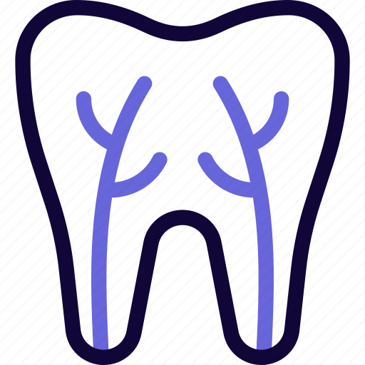 Root, canal, medical, health icon - Download on Iconfinder