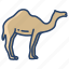 camel 