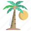 palm, tree 