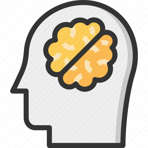 Brain, developing, development, head, thinking icon - Download on Iconfinder