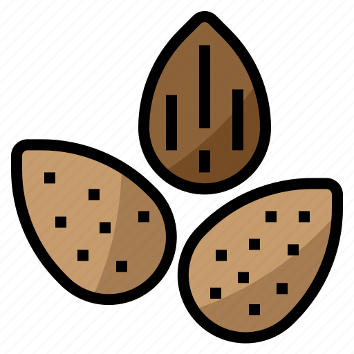 Almond, diet, nut, nutrition icon - Download on Iconfinder