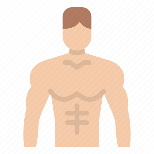 Fit, healthy, man, skinny, strong icon - Download on Iconfinder