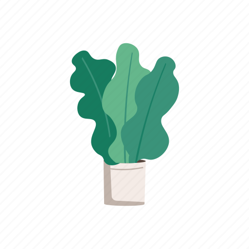 Foliage, plant, potted, houseplant, homeplant icon - Download on Iconfinder
