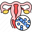 candida, fungi, albicans, uterus, woman, reproductive, system