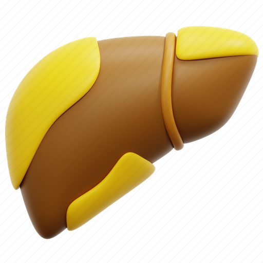 Fatty, fat, liver, organ, cirrhosis, hepatic, disease 3D illustration - Download on Iconfinder