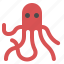 squid 