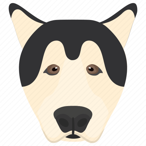 Alaskan malamute, animal, dog, dog breed, domestic dog icon - Download on Iconfinder