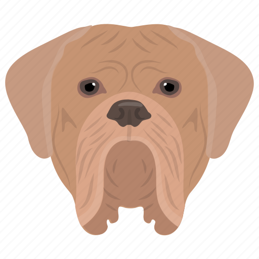 Animal, british bulldog, bulldog, domestic animal, english bulldog icon - Download on Iconfinder