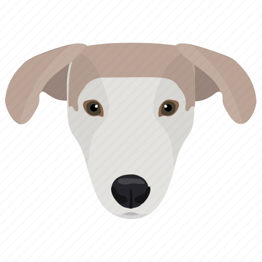 Animal, dog, labrador, labrador retriever, retriever-gun dog icon - Download on Iconfinder