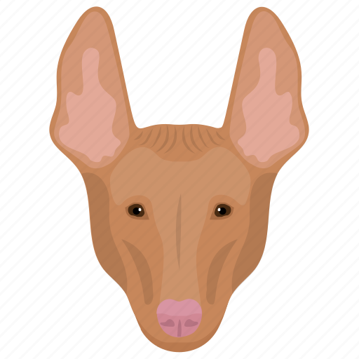 Animal, cattle dog, dog, pembroke welsh, welsh corgi icon - Download on Iconfinder