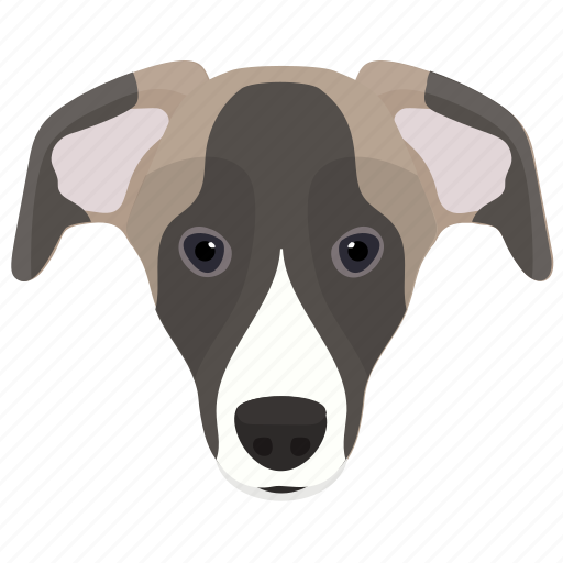Animal, aussie, australian shepherd, dog, dog breed icon - Download on Iconfinder