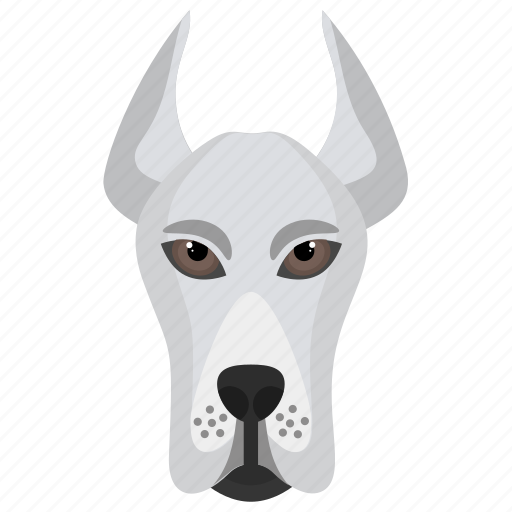Animal, cattle dog, dog, dog breed icon - Download on Iconfinder