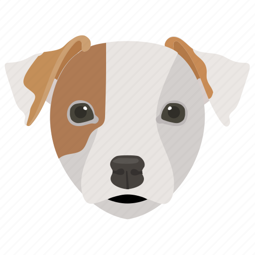 Animal, basset hound, companion dog, dog, dog breed icon - Download on Iconfinder