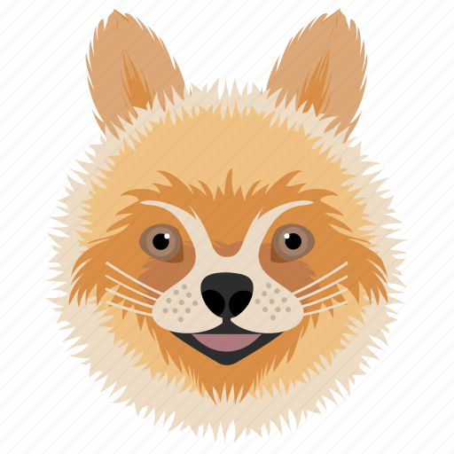 Animal, dog, domestic animal, pom dog, pomeranian icon - Download on Iconfinder